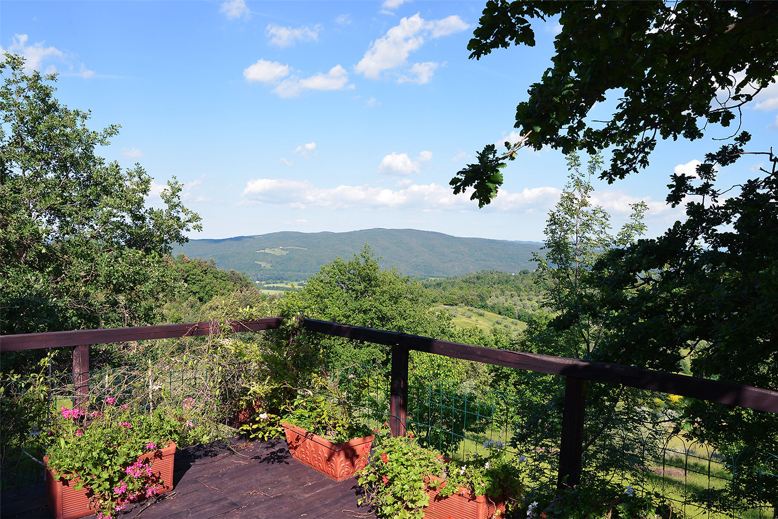 Terrace panorama