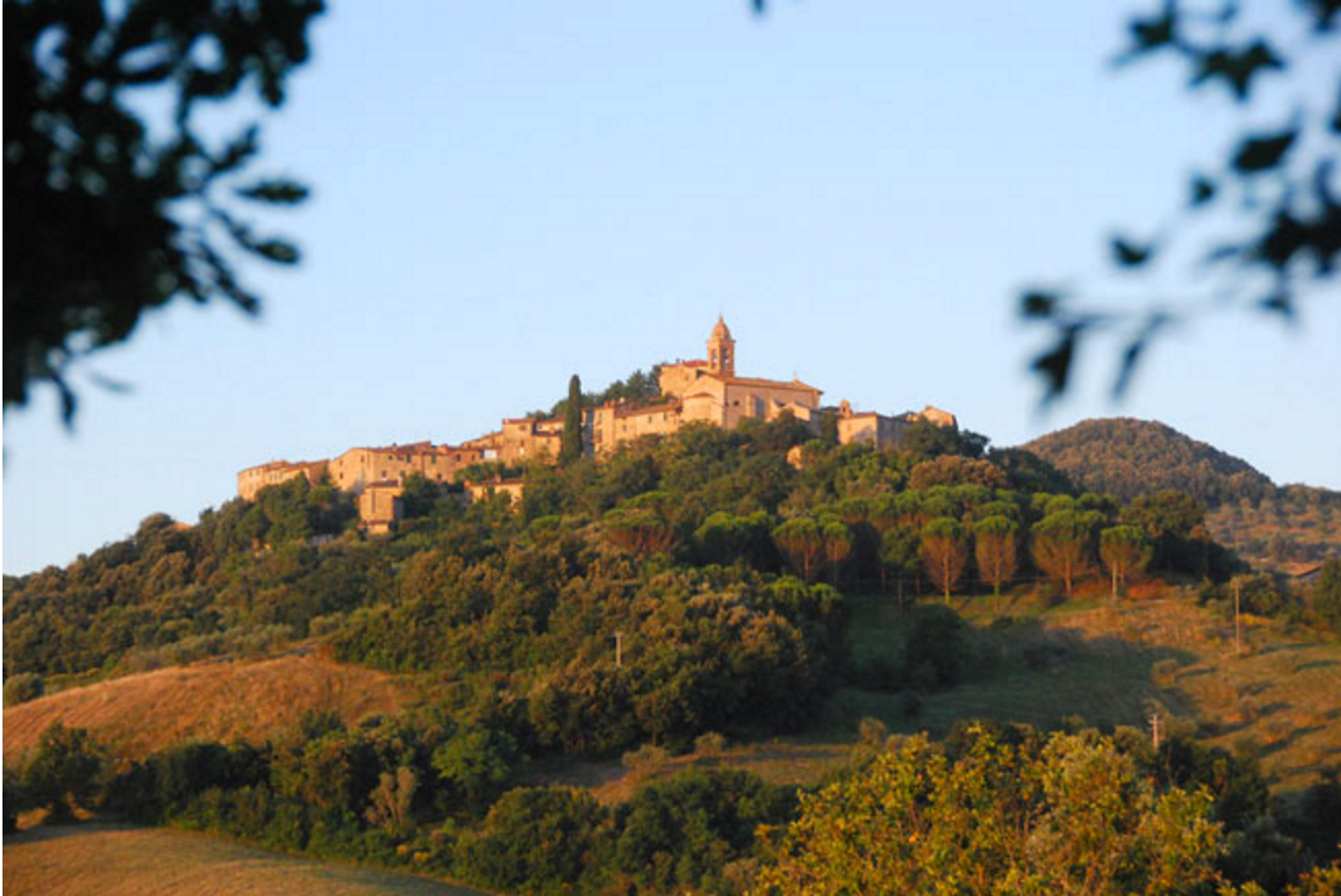 Panorama