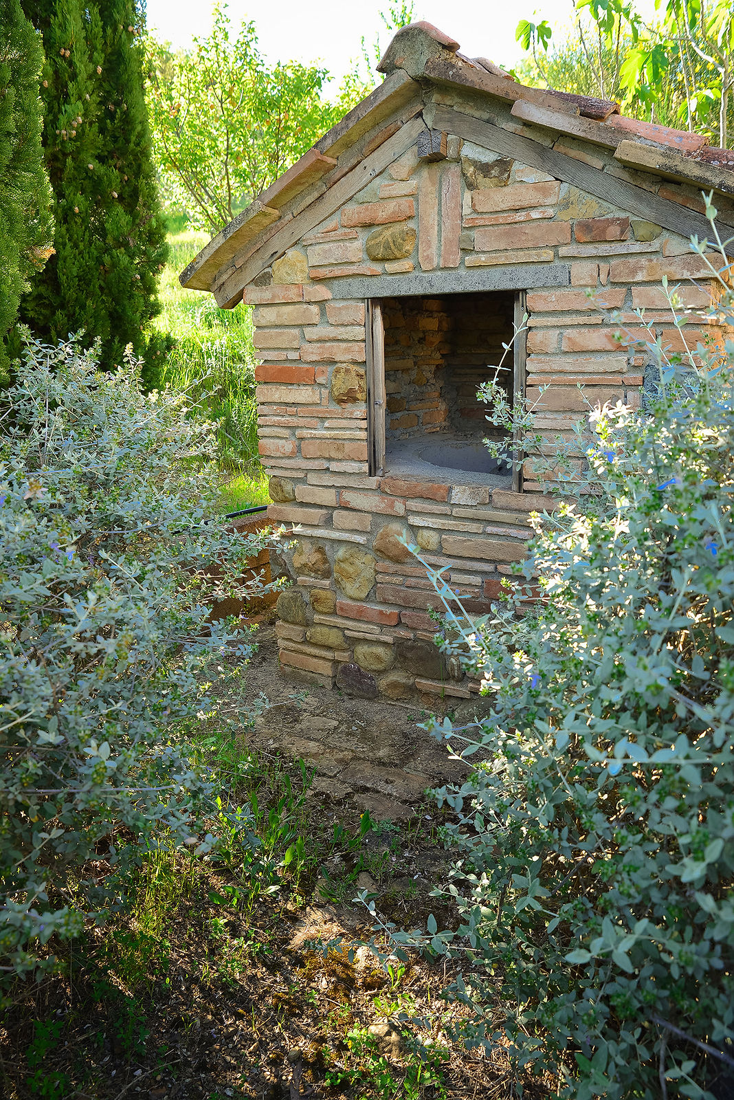 Little shack