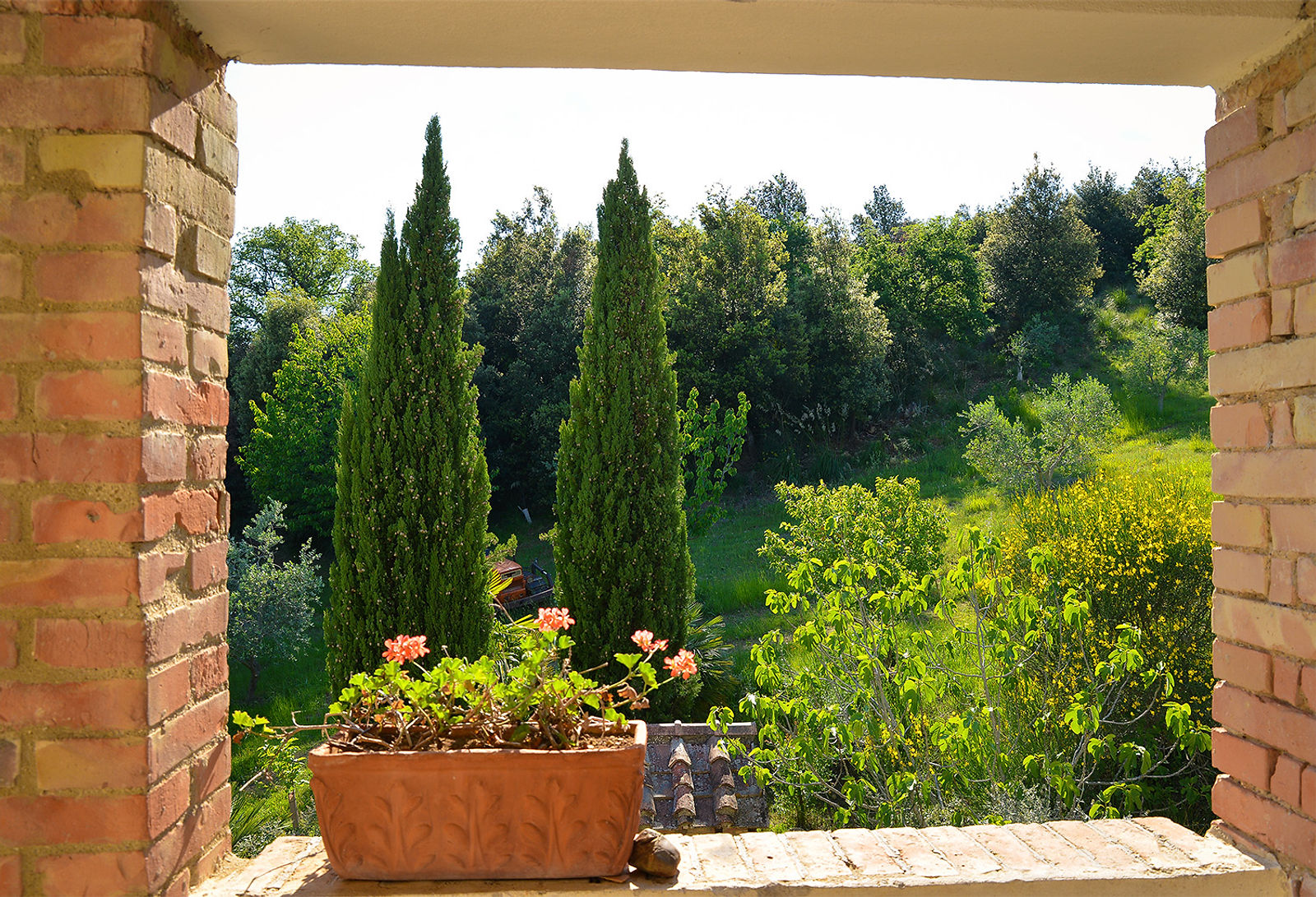View from the window