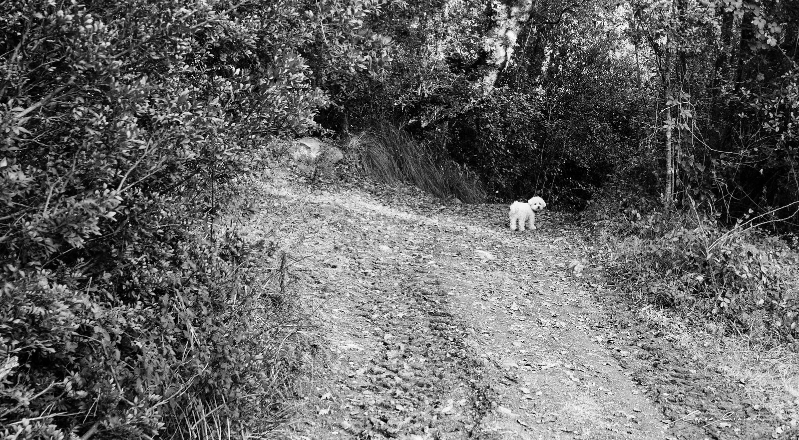Tuscany-116