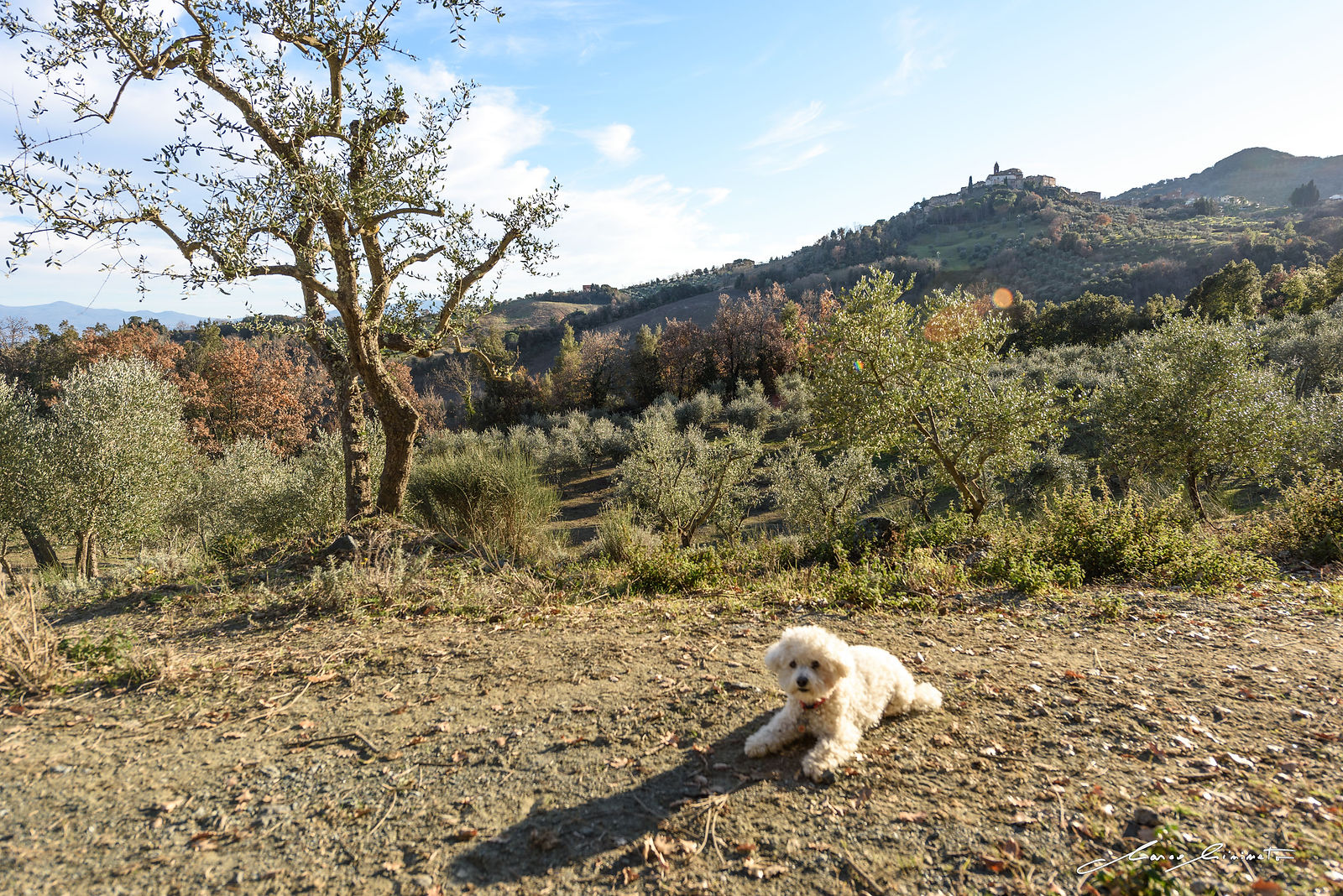 Tuscany-113